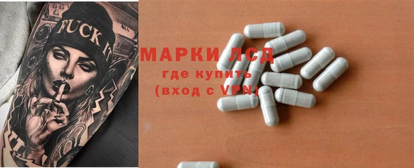 стафф Арсеньев