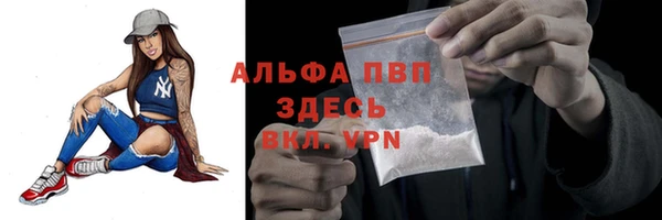 стафф Арсеньев
