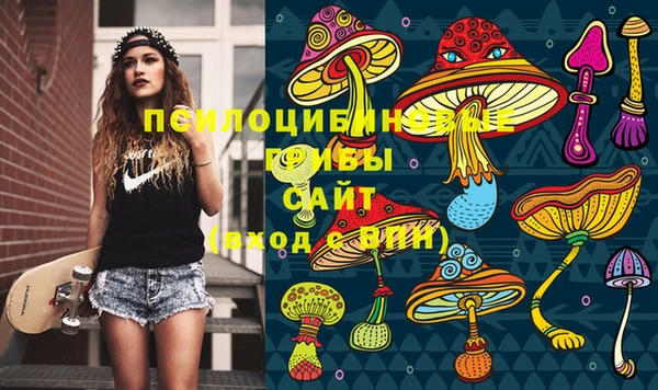 стафф Арсеньев